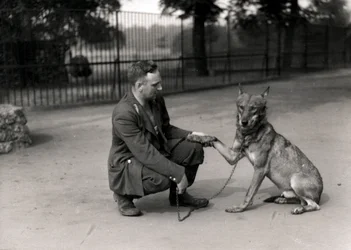 Keeper Leslie Martin Flewin with Peter, a Tame Wolf